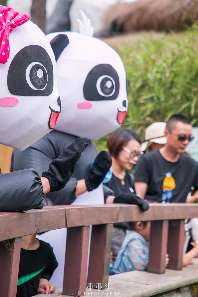 2020年安吉免门票的景点_安吉旅游免费的景点_安吉旅游景点免费开放