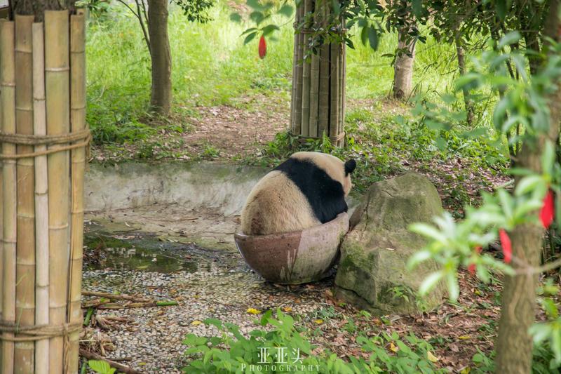 安吉旅游景点免费开放_2020年安吉免门票的景点_安吉旅游免费的景点