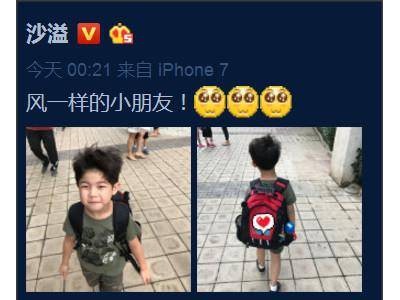 安吉、王诗龄等星二代就读贵族学校，学费惊人