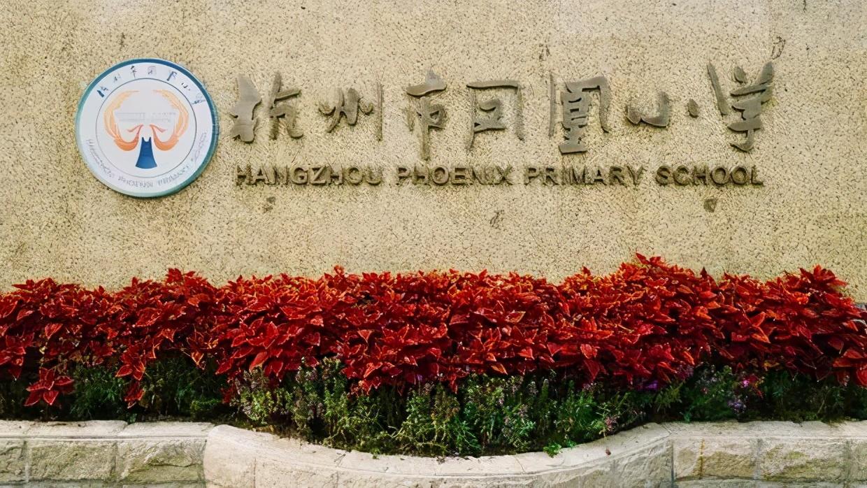 安吉路小学长寿桥小学_长寿桥和安吉路小学对比_长寿桥和安吉路哪个学校好
