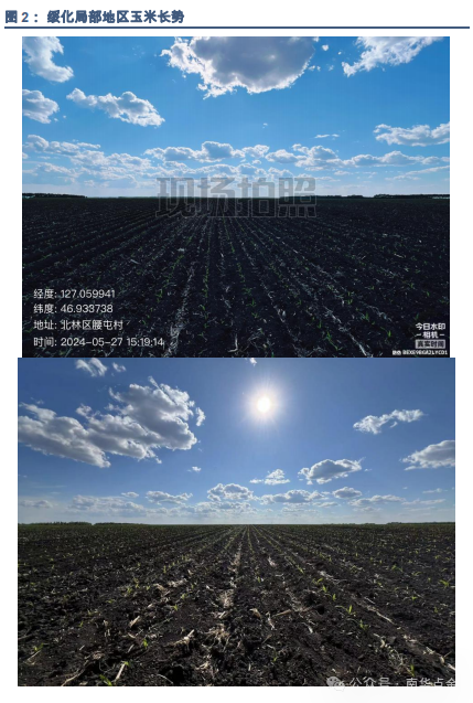 阳光100房地产开_阳光100房地产公司_阳光房地产开发