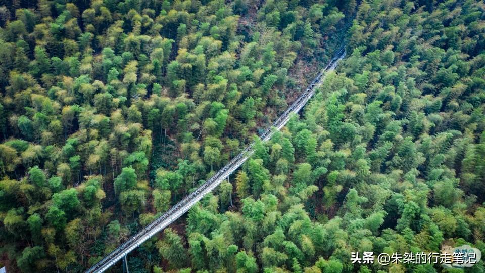 安吉竹海风景区门票多少钱_安吉竹海营业时间_安吉大竹海景区