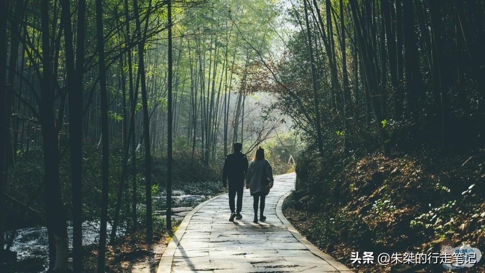 安吉竹海风景区门票多少钱_安吉大竹海景区_安吉竹海营业时间