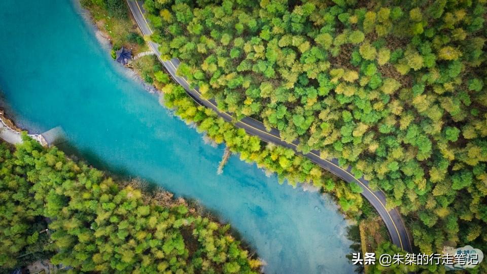 安吉竹海风景区门票多少钱_安吉大竹海景区_安吉竹海营业时间