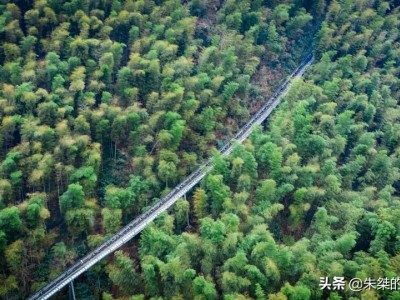国内竹海景区众多，哪个才是唯一晋升的那个？