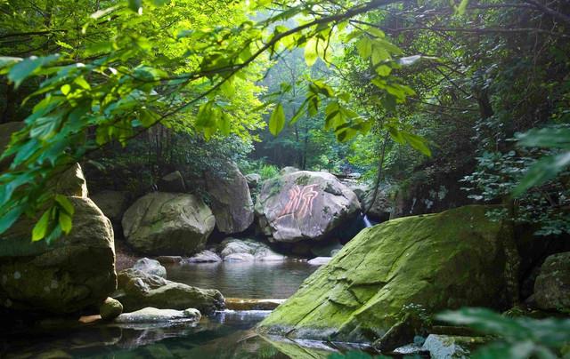 安吉龙王山自驾游攻略_安吉龙王山门票价格_安吉龙王山风景区