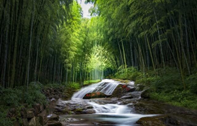 安吉竹海视频_安吉竹海好玩吗_安吉大竹海景区