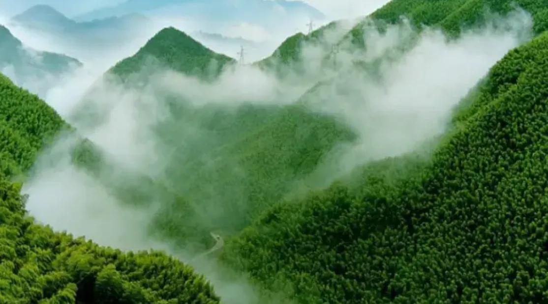 浙江安吉风景名胜区龙王山_安吉龙王山旅游攻略_安吉龙王山风景区