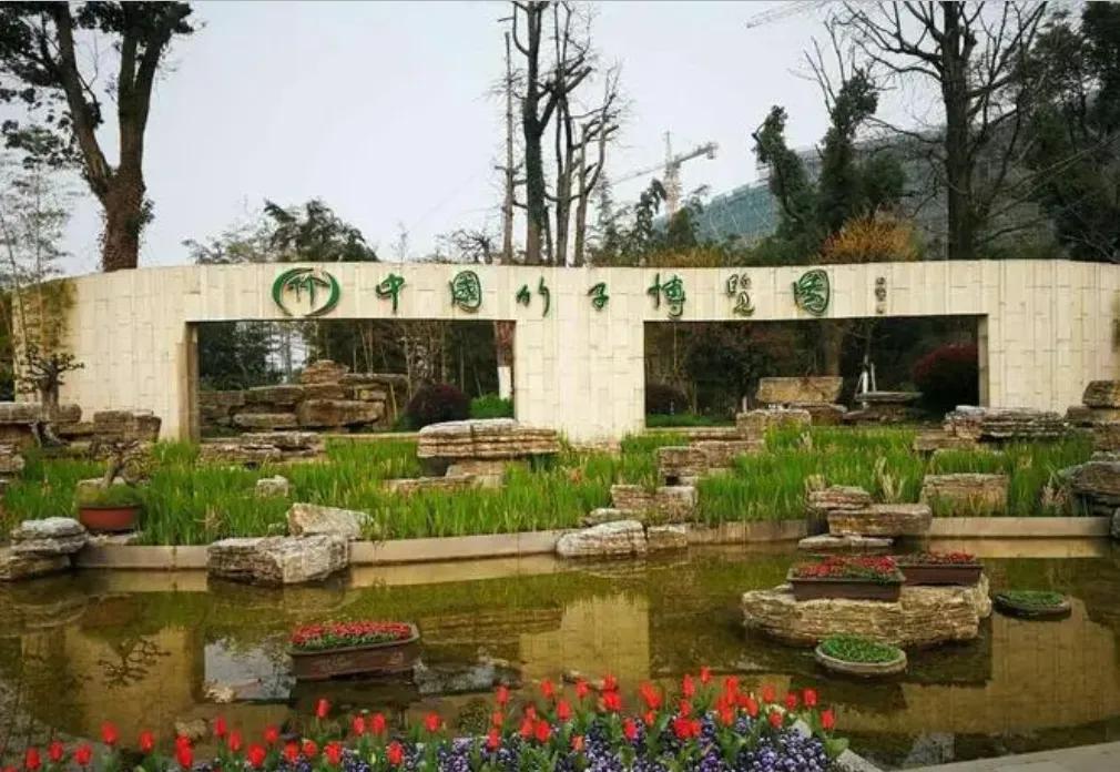 浙江安吉风景名胜区龙王山_安吉龙王山风景区_安吉龙王山旅游攻略