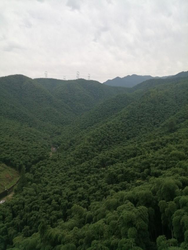 安吉竹海视频_安吉竹海好玩吗_安吉大竹海景区
