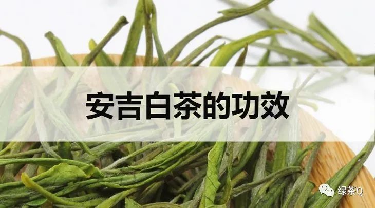 安吉白茶保健功效_安吉白茶功效与作用_说说安吉白茶的功效