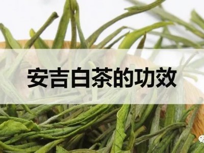 安吉白茶：春夏季饮用的寒性绿茶，具有减肥、抗衰老等多种功效