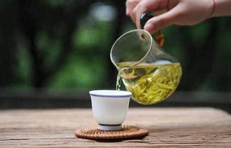 说说安吉白茶的功效_安吉白茶的营养及药用价值_安吉白茶功效与作用