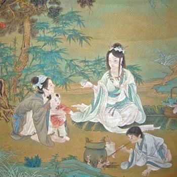 安吉白茶保健功效_安吉白茶功效与作用_说说安吉白茶的功效