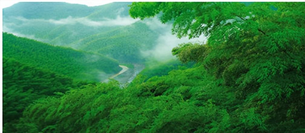 安吉竹海好玩吗_安吉大竹海景区_安吉竹海旅游攻略地点