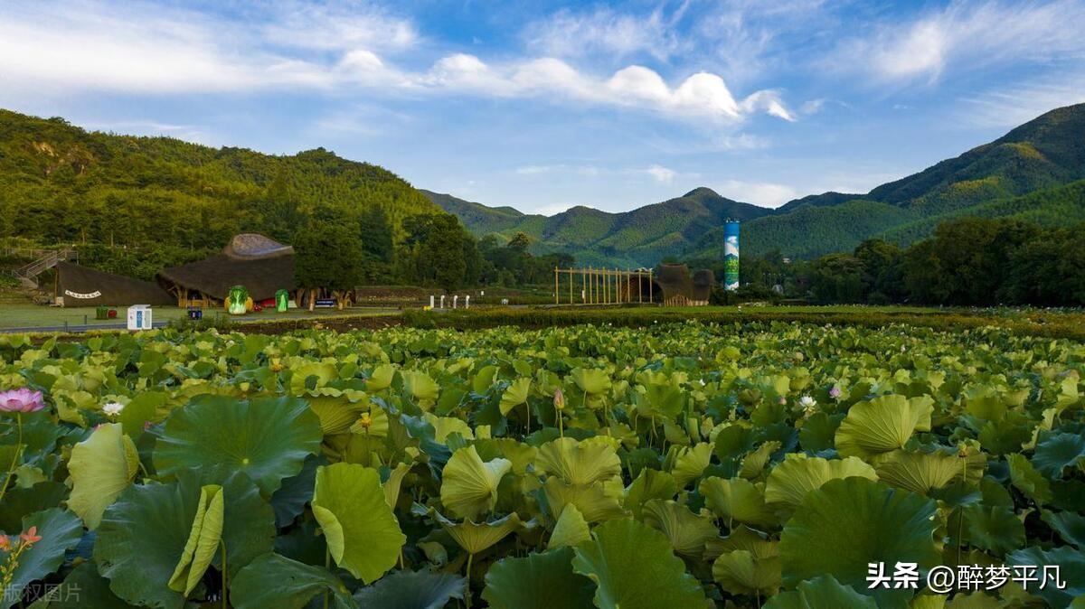 安吉农家乐二日游_安吉农家乐旅游攻略二日游_安吉农家乐旅游