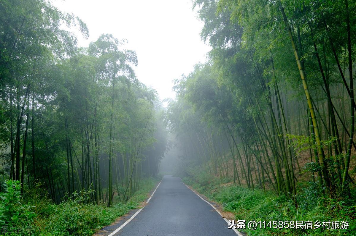 安吉农家乐多少钱一天_安吉农家乐旅游_安吉农家乐旅游攻略二日游