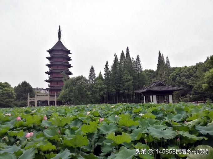 安吉农家乐多少钱一天_安吉农家乐旅游攻略二日游_安吉农家乐旅游