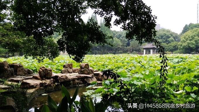 安吉农家乐多少钱一天_安吉农家乐旅游攻略二日游_安吉农家乐旅游