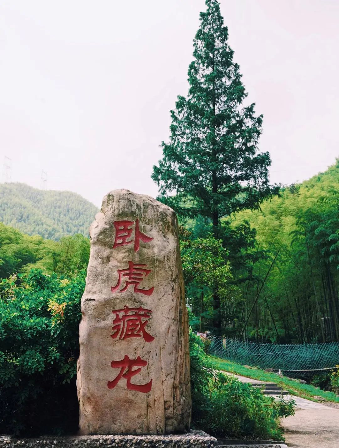 安吉竹海营业时间_安吉竹海风景区门票多少钱_安吉大竹海景区