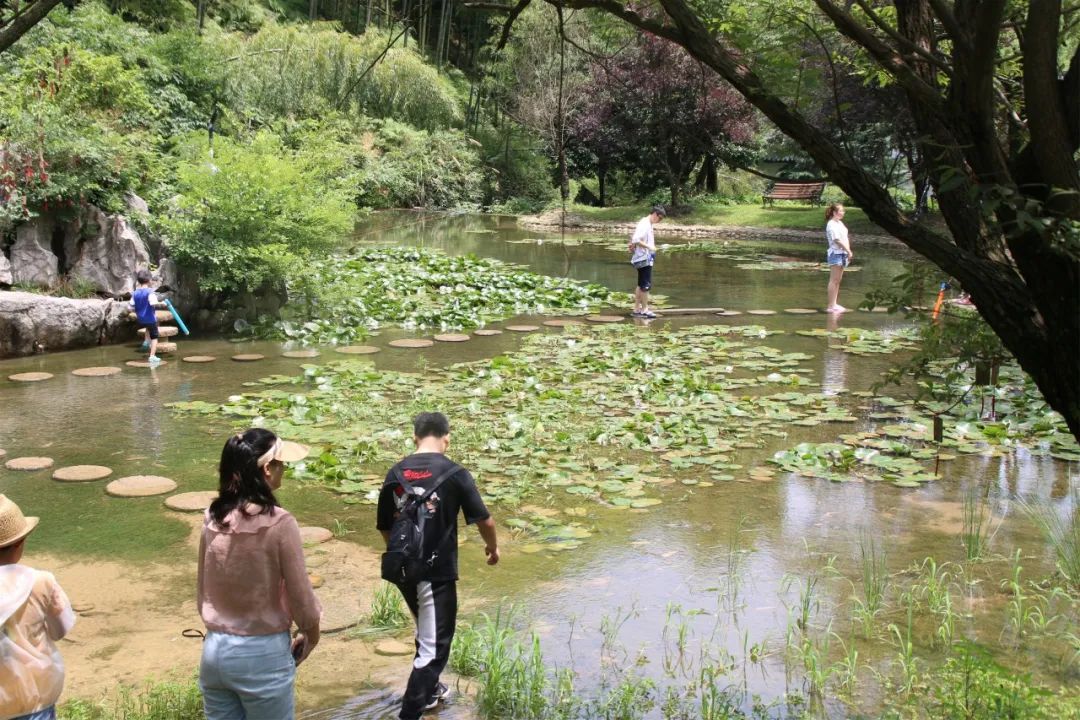 安吉竹海风景区门票多少钱_安吉大竹海景区_安吉竹海营业时间