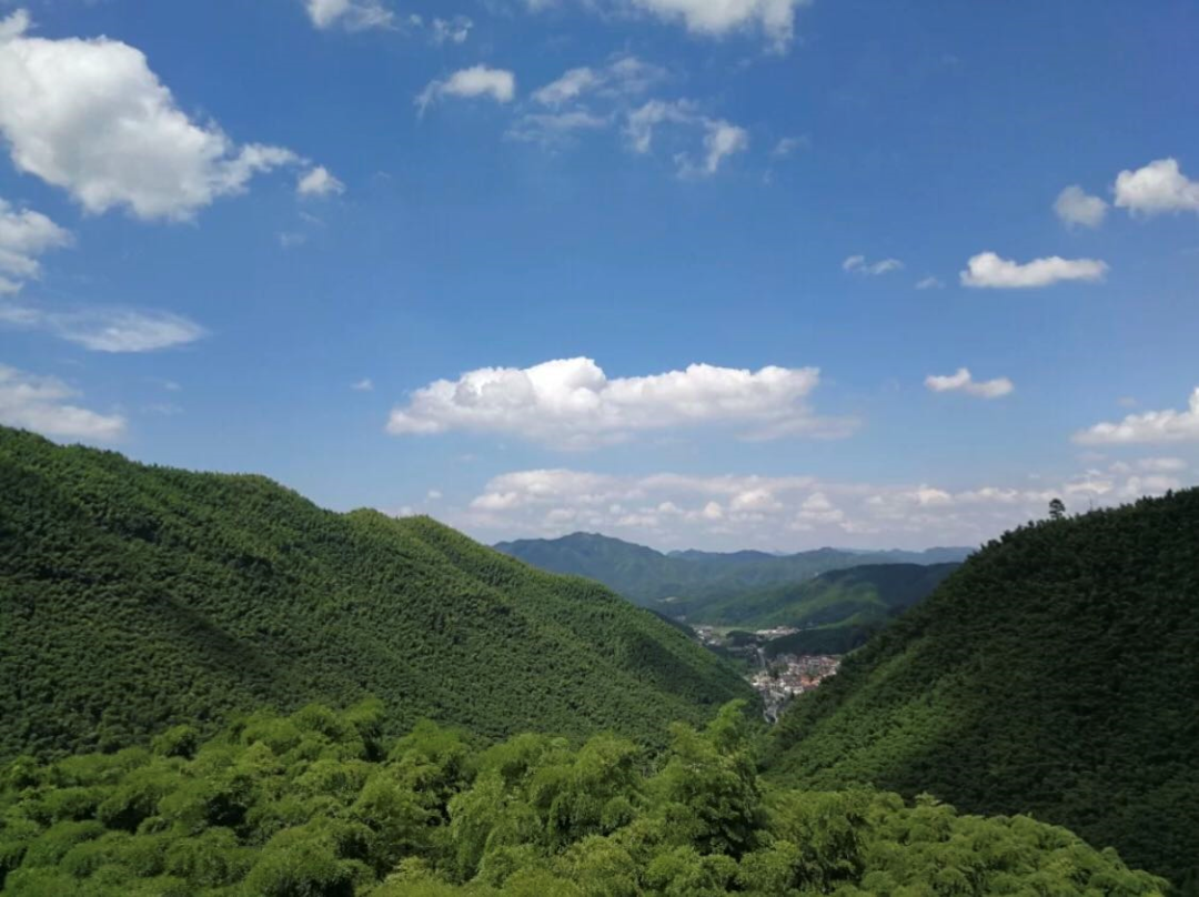 安吉竹海营业时间_安吉竹海风景区门票多少钱_安吉大竹海景区