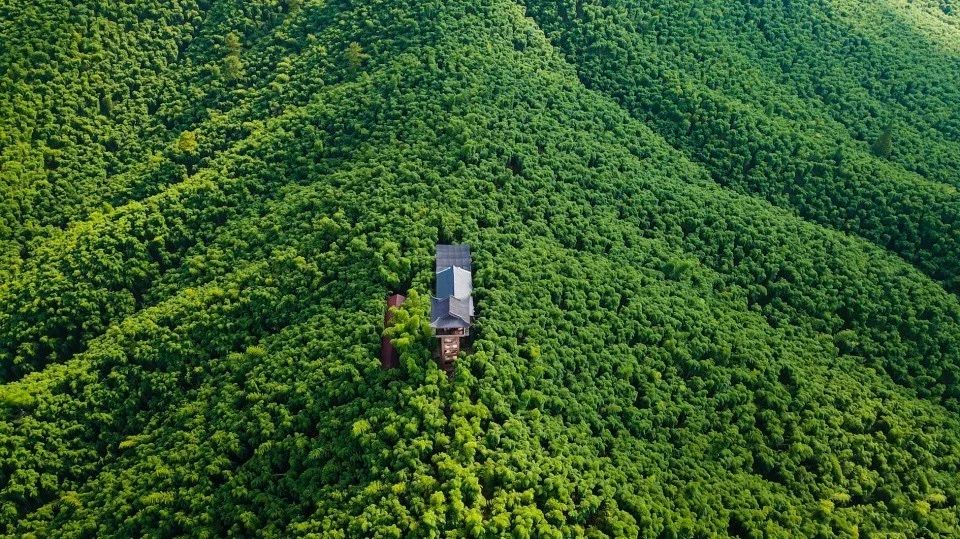 安吉竹海营业时间_安吉大竹海景区_安吉竹海风景区门票多少钱