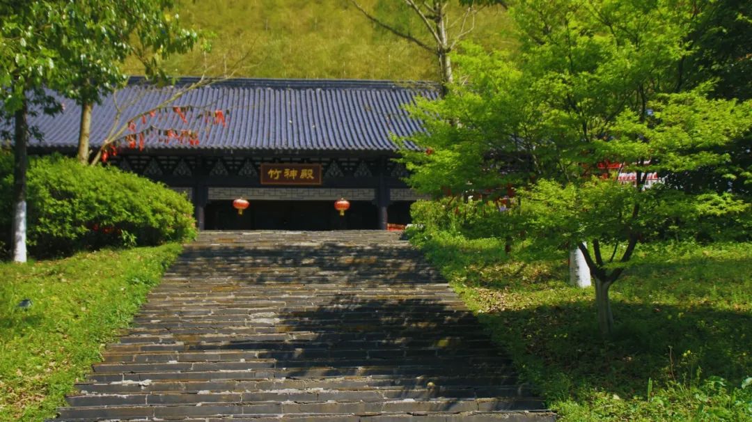安吉竹海营业时间_安吉大竹海景区_安吉竹海风景区门票多少钱
