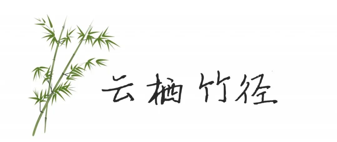 安吉大竹海景区_安吉竹海营业时间_安吉竹海风景区门票多少钱