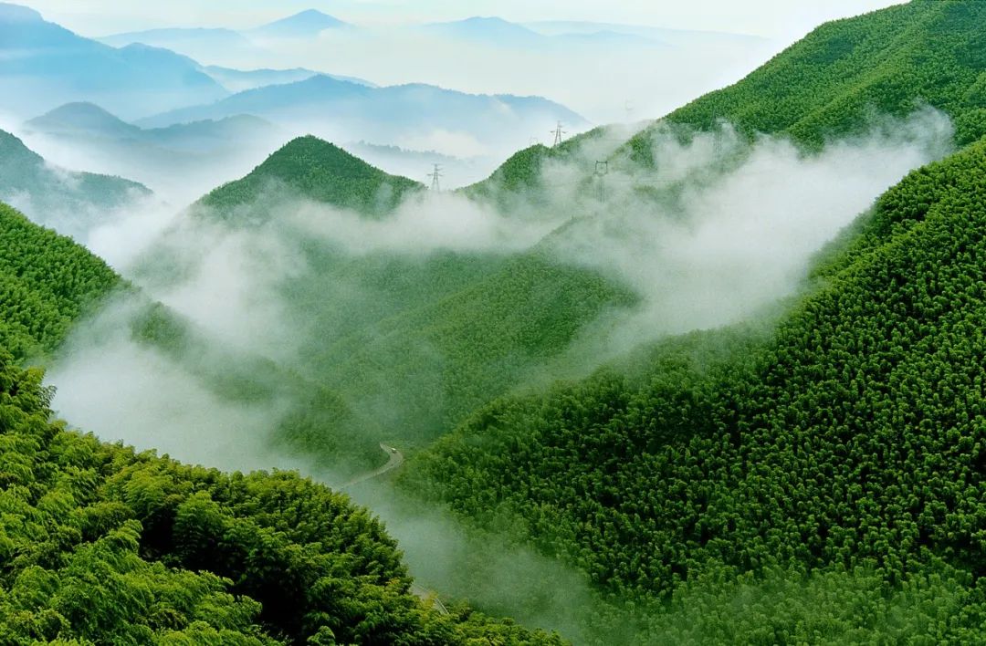 安吉竹海营业时间_安吉竹海风景区门票多少钱_安吉大竹海景区