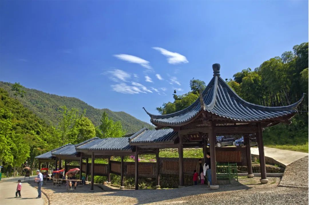 安吉竹海营业时间_安吉竹海风景区门票多少钱_安吉大竹海景区