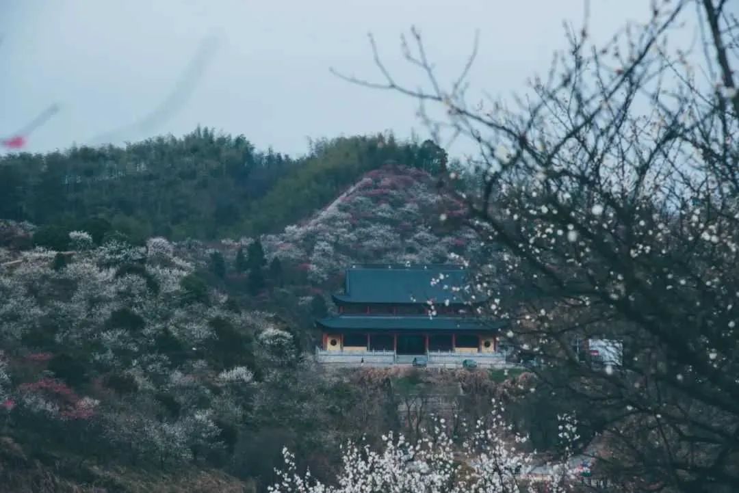安吉观星最佳地点_安吉天荒坪 观星攻略_安吉天荒坪民宿看星星
