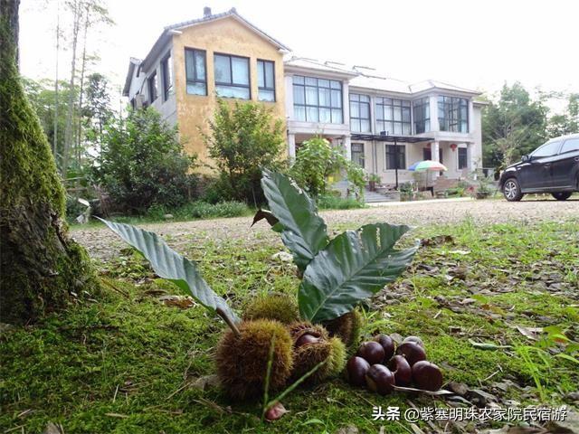 安吉农家乐二日游_安吉农家乐旅游_安吉农家乐多少钱一天