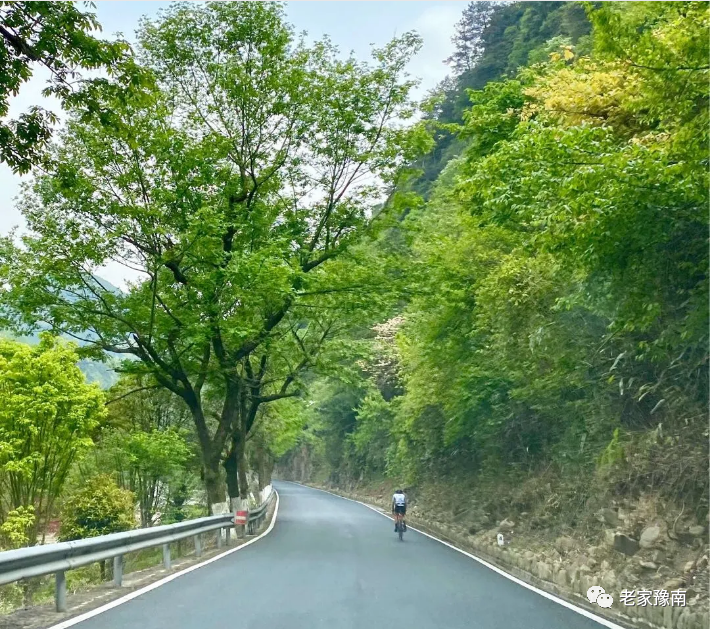 安吉山野农家乐_安吉 山顶农家乐_安吉山顶民宿