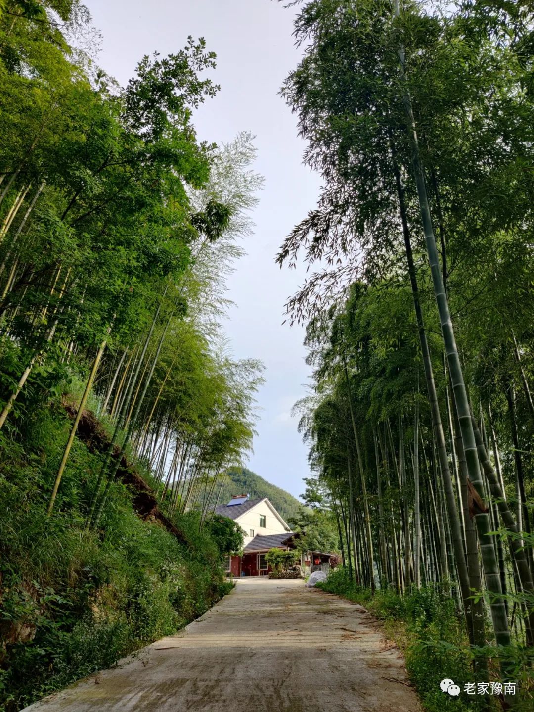 安吉山顶民宿_安吉山野农家乐_安吉 山顶农家乐