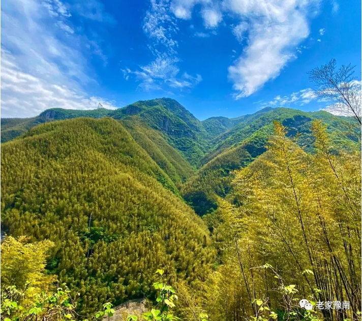 安吉山顶民宿_安吉山野农家乐_安吉 山顶农家乐