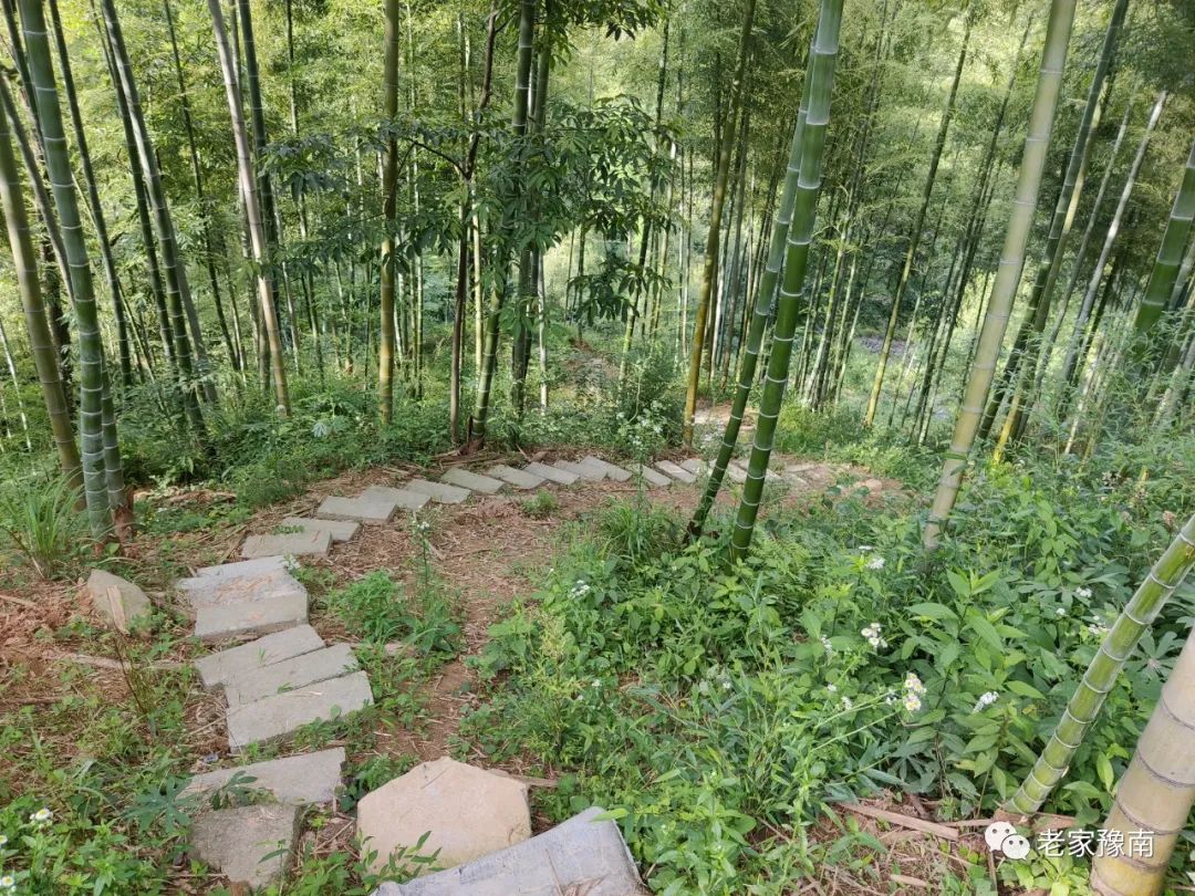 安吉 山顶农家乐_安吉山顶民宿_安吉山野农家乐