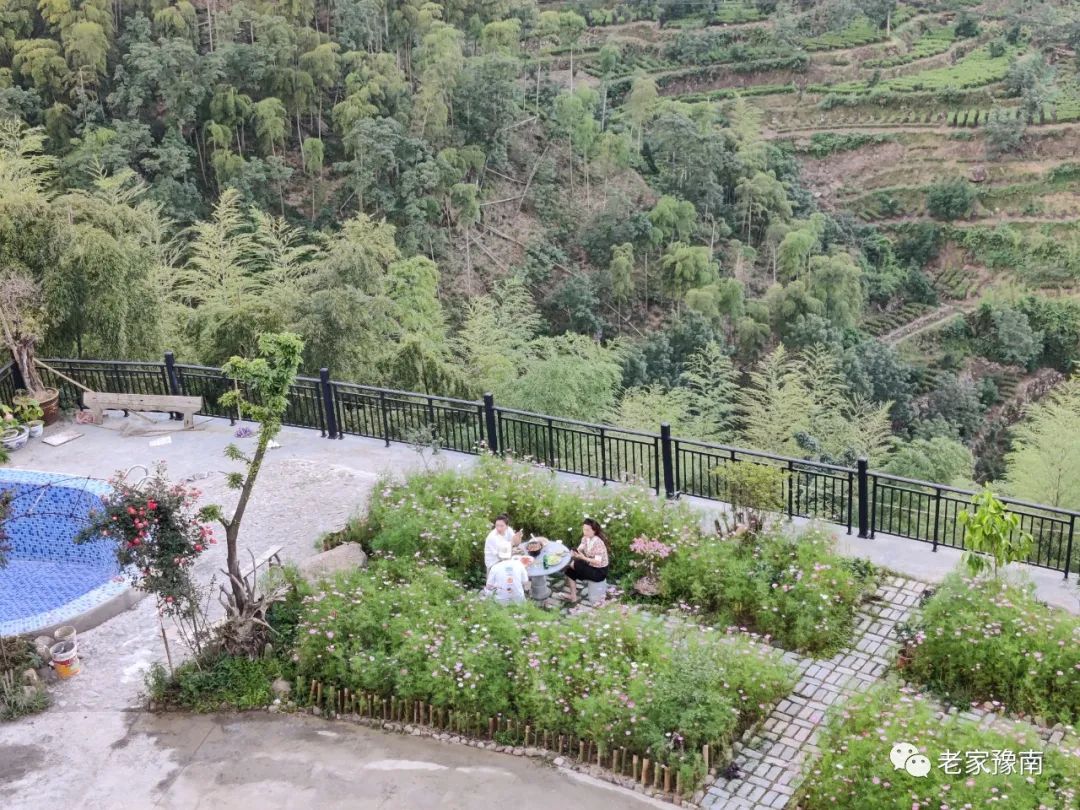 安吉山顶民宿_安吉 山顶农家乐_安吉山野农家乐