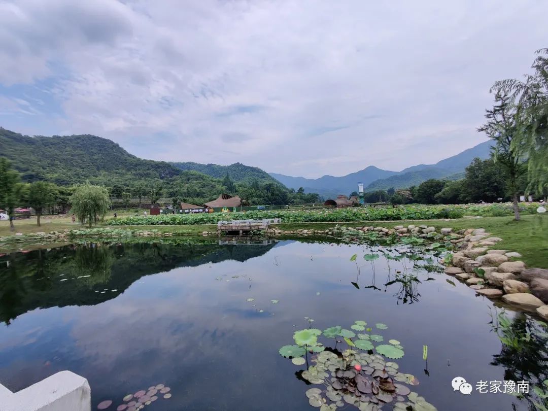 安吉山野农家乐_安吉 山顶农家乐_安吉山顶民宿