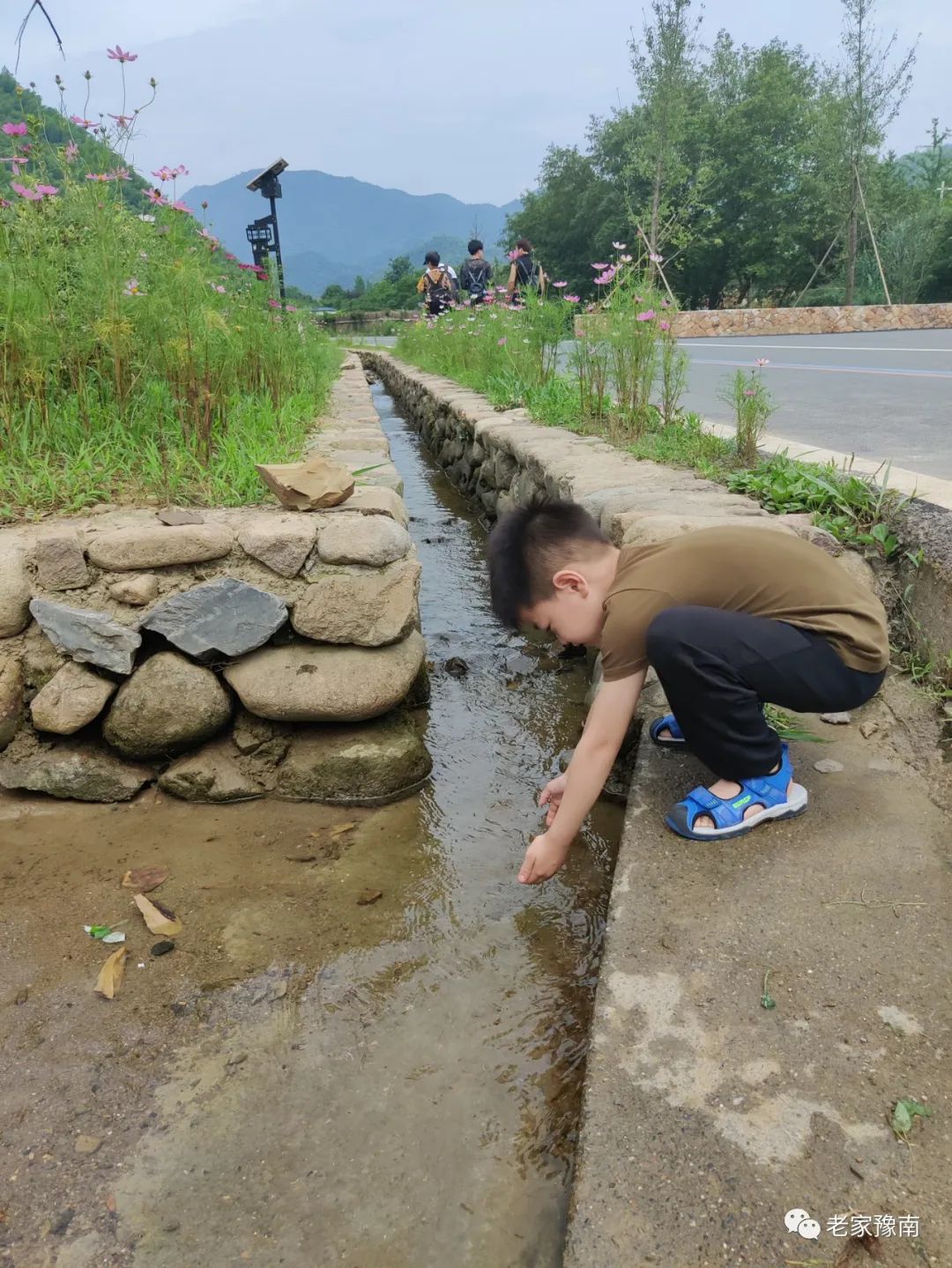 安吉山野农家乐_安吉山顶民宿_安吉 山顶农家乐