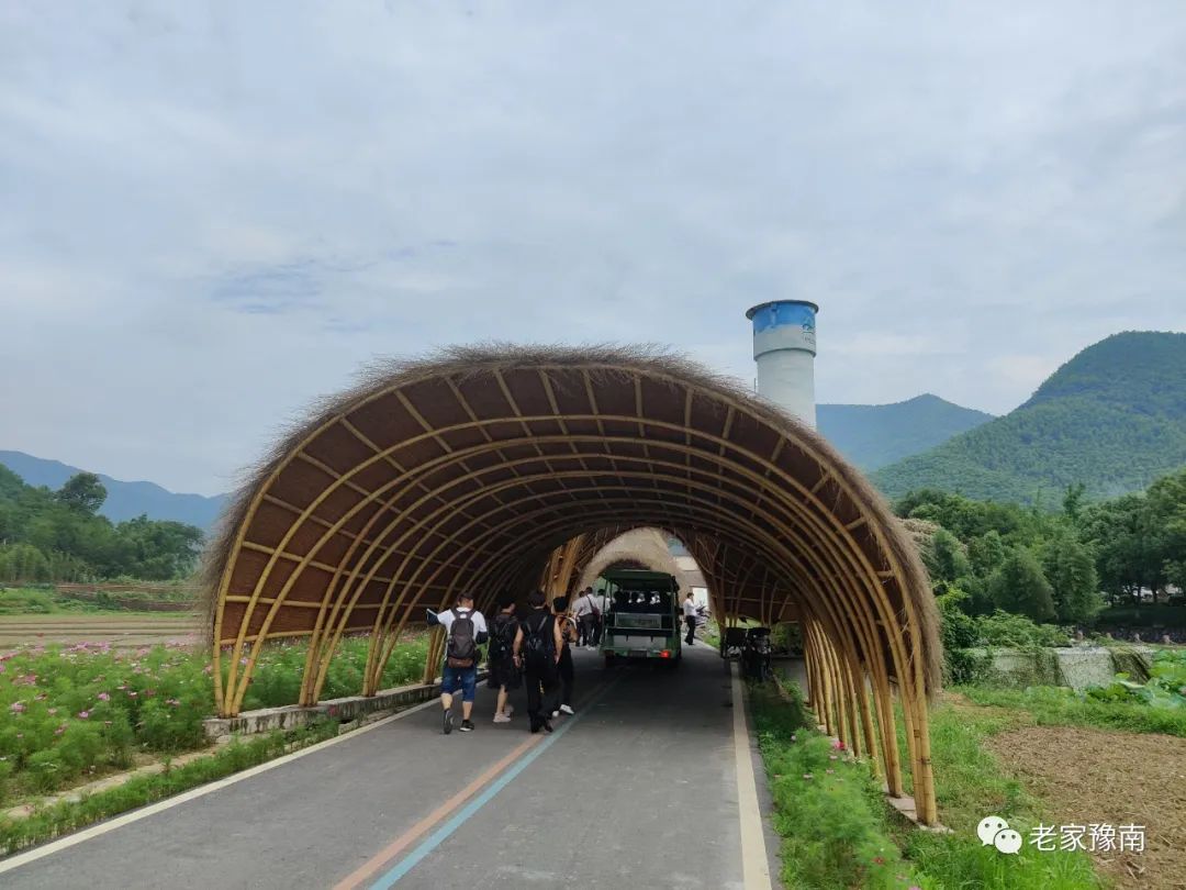 安吉 山顶农家乐_安吉山顶民宿_安吉山野农家乐