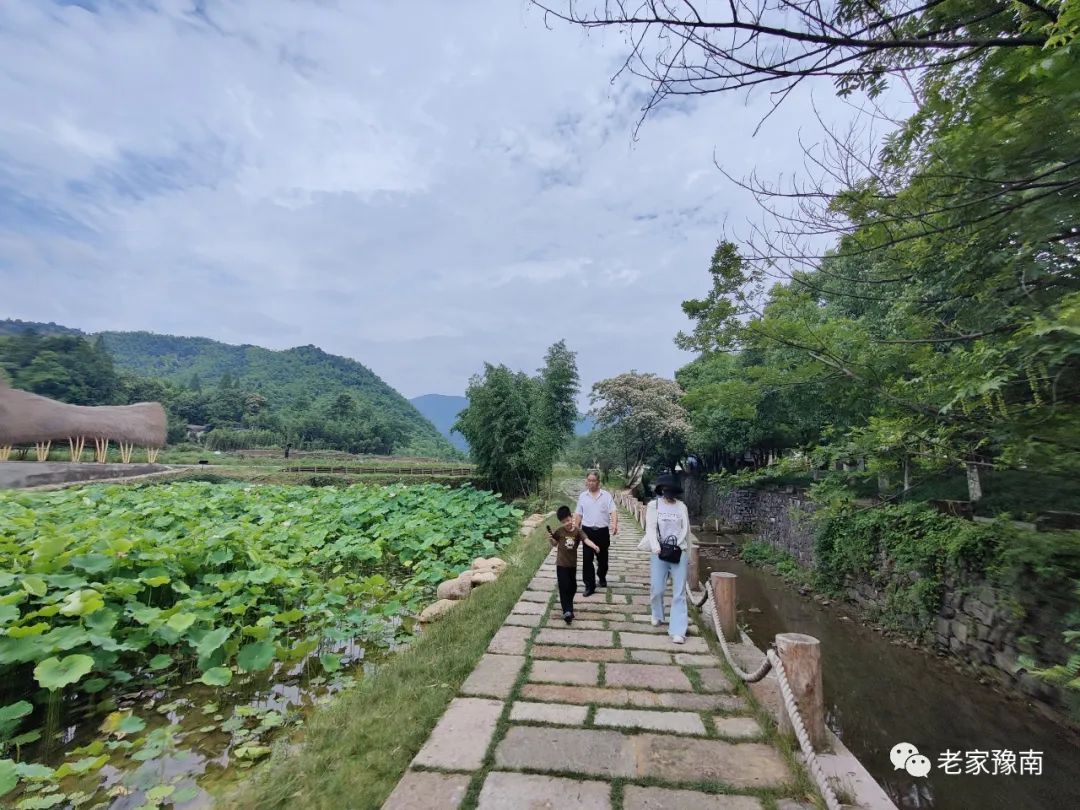 安吉 山顶农家乐_安吉山顶民宿_安吉山野农家乐
