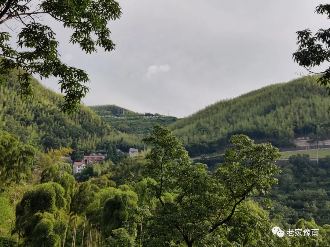 安吉山野农家乐_安吉 山顶农家乐_安吉山顶民宿
