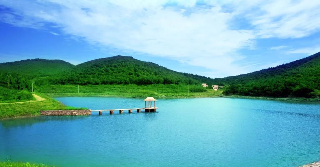 大连绿城置业有限公司_大连绿城房地产开发有限公司_大连绿城房地产集团有限公司