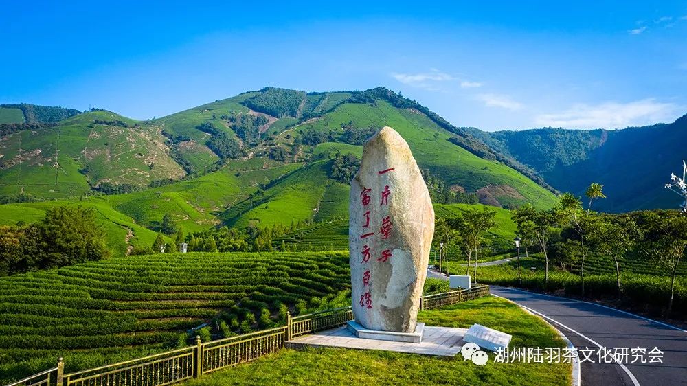 安吉白茶最好的产地溪龙_安吉溪龙白茶价格_安吉溪龙白茶