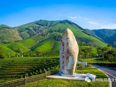 溪龙乡茶旅融合新路径：茶庄园建设助力乡村振兴