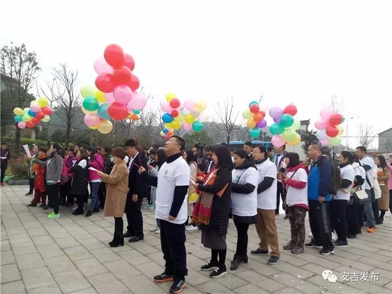 安吉溪龙白茶_安吉溪龙白茶交易市场怎么去_龙山安吉白茶