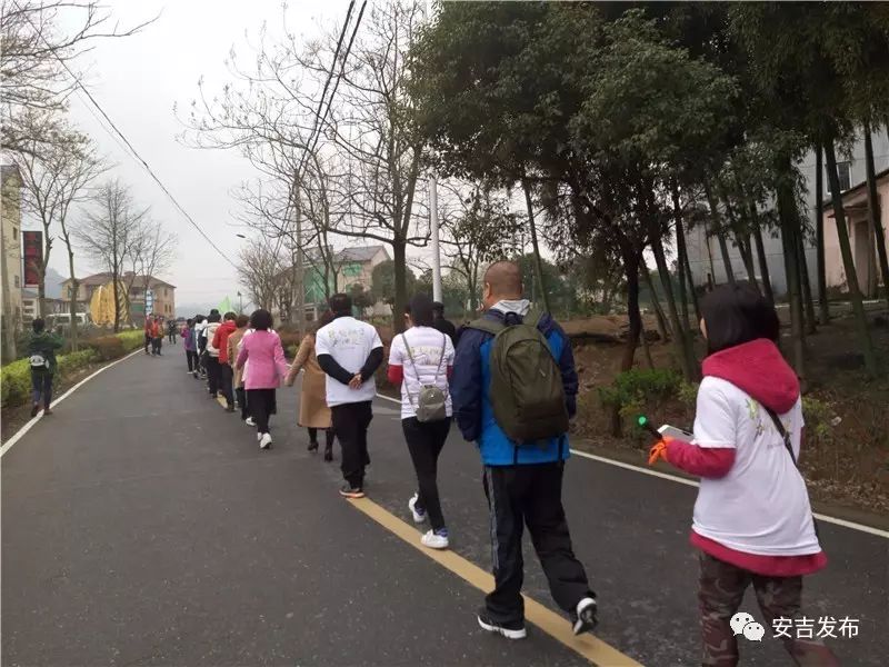 安吉溪龙白茶交易市场怎么去_安吉溪龙白茶_龙山安吉白茶