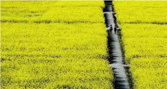 房地产经营与估价专业课程_房地产经营与估价学主修什么课程_房地产经营与估价主修课程