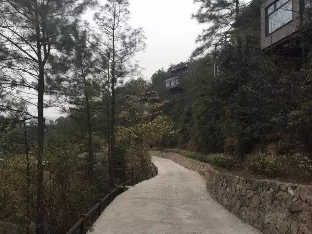 安吉农民房出租_农民出租屋_浙江安吉农村房出租